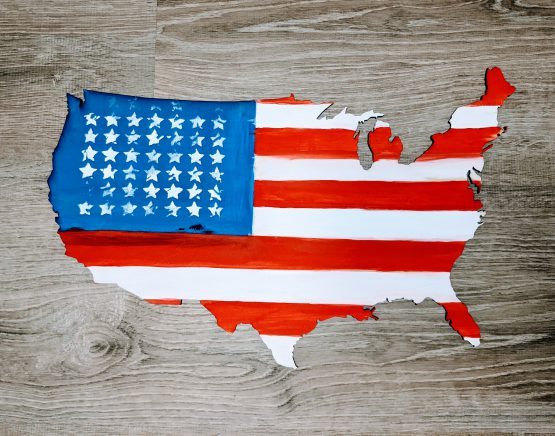 US Map, blank - Image 2