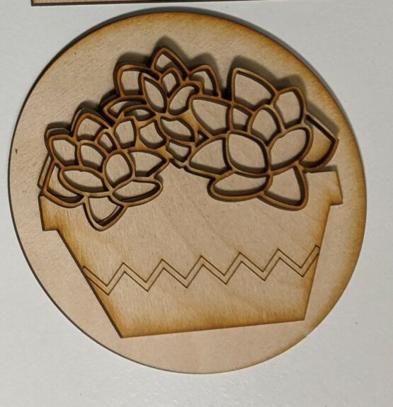 Round Succulent Flower set