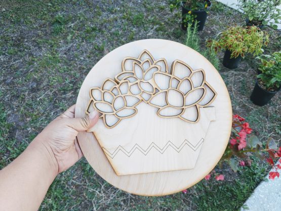 Round Succulent Flower set - Image 2