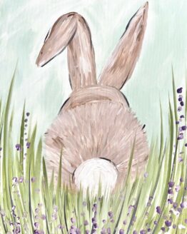 Bunny in a field